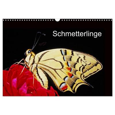 Schmetterlinge (Wandkalender 2026 DIN A3 quer), CALVENDO Monatskalender