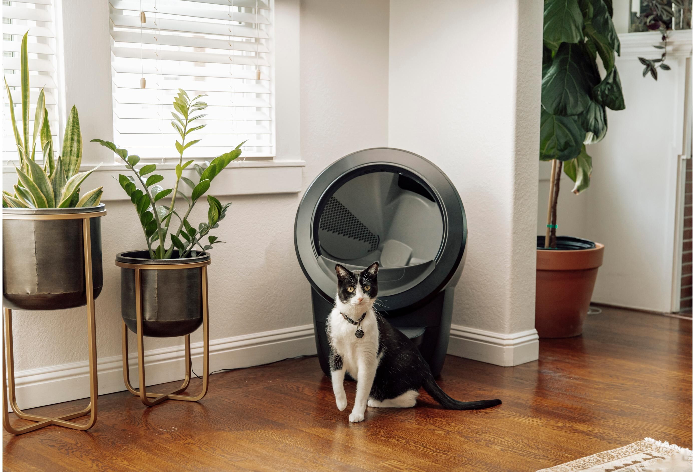 Katzentoilette "Litter-Robot Katzentoilette Litter Robot 4", schwarz, Tiertoiletten, Katzentoilette schwarz Einheitsgröße
