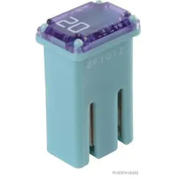HERTH&BUSS Sicherung, MCase slotted, 32V max. blau - 50295353 - blau