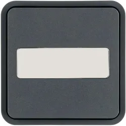 Hager WNT922 Wippe 1fach für Taster BA AP, mit Beschriftungsfeld, W.1 IP55, grau
