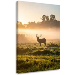LEINWANDBILD Hirsch in der Brunft im Nebel 70x100cm
