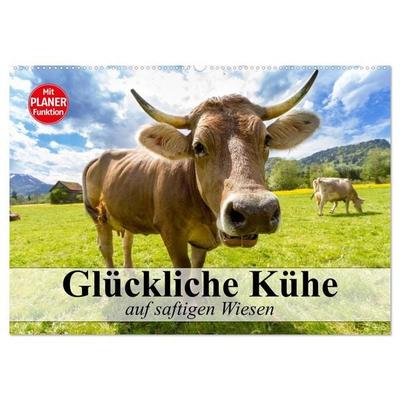 Glückliche Kühe auf saftigen Wiesen (Wandkalender 2026 DIN A2 quer), CALVENDO Monatskalender