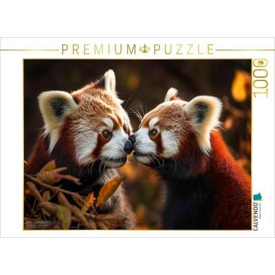 CALVENDO Puzzle Roter Panda - schmusen | 1000 Teile Lege-Größe 64x48cm Foto-Puzzle für glückliche Stunden