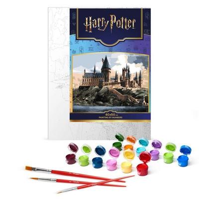 Harry Potter: Hogwarts bei Tag 40x50 cm