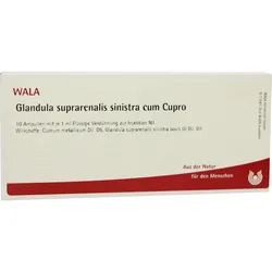 Glandula Sup Sin Cum Cupro 10 ML