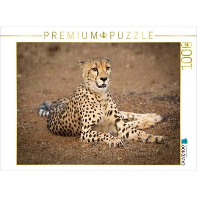 CALVENDO Puzzle Gepard, Botswana 2017 | 1000 Teile Lege-Größe 64x48cm Foto-Puzzle für glückliche Stunden