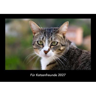 Für Katzenfreunde 2027 Fotokalender DIN A3