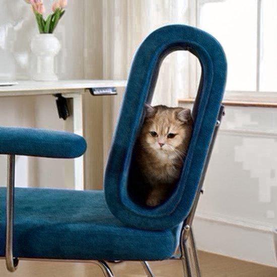 Bürostuhl - Ergonomischer Bürostuhl - Computerstuhl - Bürostuhl mit integriertem Katzenversteck - Robuster Metallrahmen - Kratzfeste Polsterung