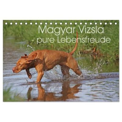 Magyar Vizsla - pure Lebensfreude (Tischkalender 2027 DIN A5 quer), CALVENDO Monatskalender