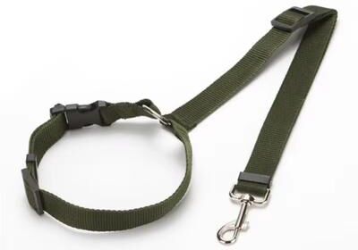 Smart Shopping Spot Adjustable Two In One Pet Car Seat Belt Leash For Dogs & Cats green