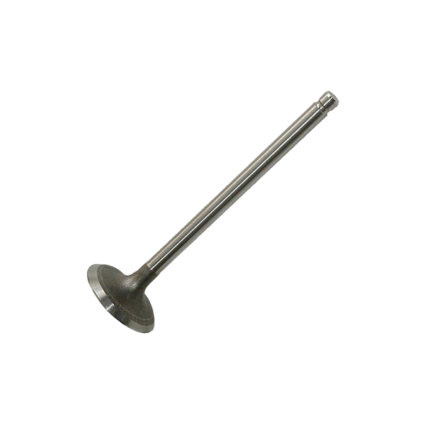 AMP PFIA013-S-0-D Inlet valve