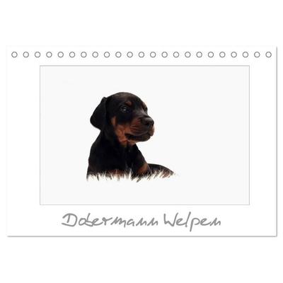 Dobermann Welpen (Tischkalender 2027 DIN A5 quer), CALVENDO Monatskalender