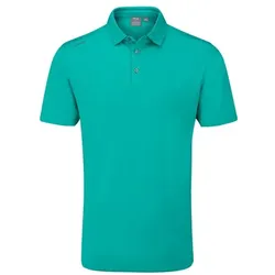 Ping Golf Herren Polo Lindum grün