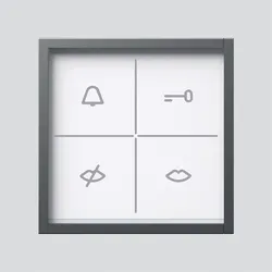 Siedle&amp;Söhne Zustandsanzeige-Modul ZAM 670-0 DG