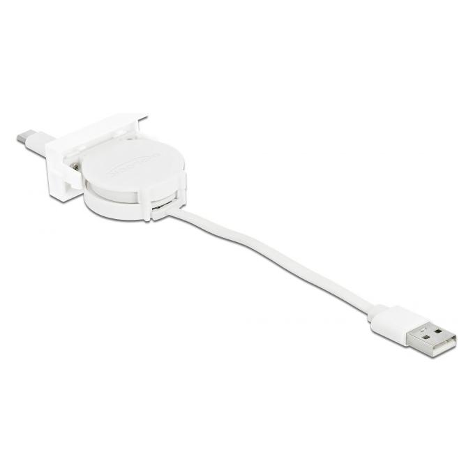 Delock USB A - USB C (0.62 m, USB 2.0, 5 W) (81318)