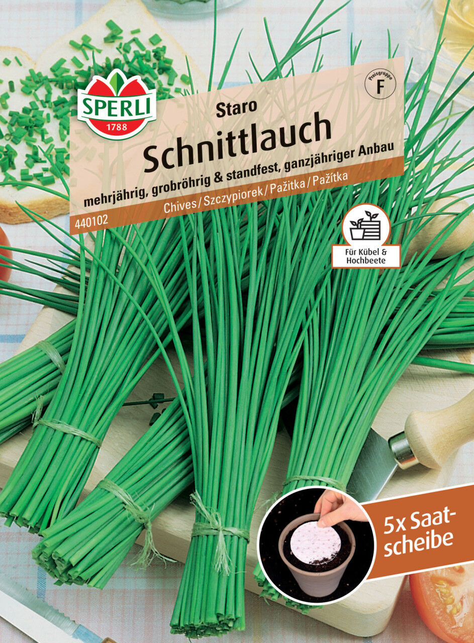 Sperli Schnittlauch Staro Saatscheibe