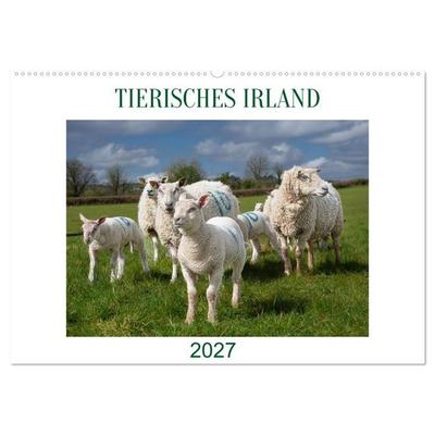 Irland erleben – Wo Schafe, Pferde und Kühe das Landschaftsbild prägen (Wandkalender 2027 DIN A2 quer), CALVENDO Monatskalender