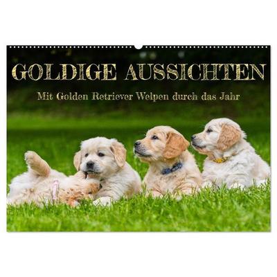 Goldige Aussichten - Mit Golden Retriever Welpen durch das Jahr (Wandkalender 2027 DIN A2 quer), CALVENDO Monatskalender