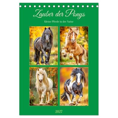 Zauber der Ponys. Kleine Pferde in der Natur (Tischkalender 2027 DIN A5 hoch), CALVENDO Monatskalender