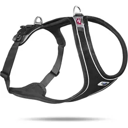 Curli Geschirr Magnetic Belka Comfort (L, Hund, Allgemein), Halsband + Leine