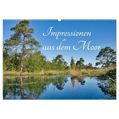 Impressionen aus dem Moor (Wandkalender 2027 DIN A2 quer), CALVENDO Monatskalender