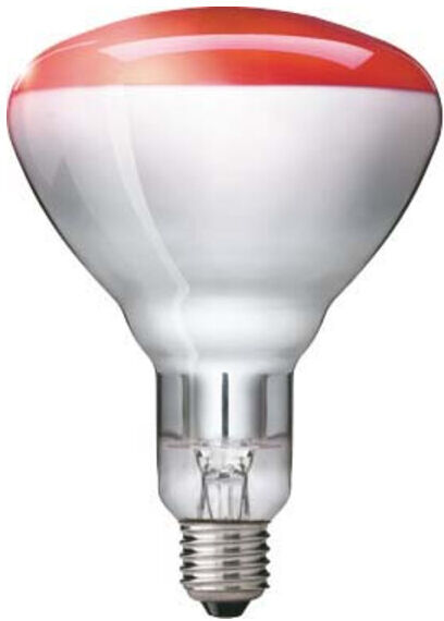 Philips Lighting Radiateur infrarouge 230-250V E27 IR 250 RH (57521025)