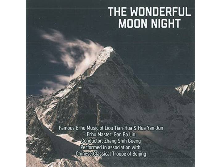 The Wonderful Moon Night