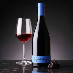 Gantenbein 2023 Gantenbein Pinot Noir 2023 Pinot Noir Schweiz