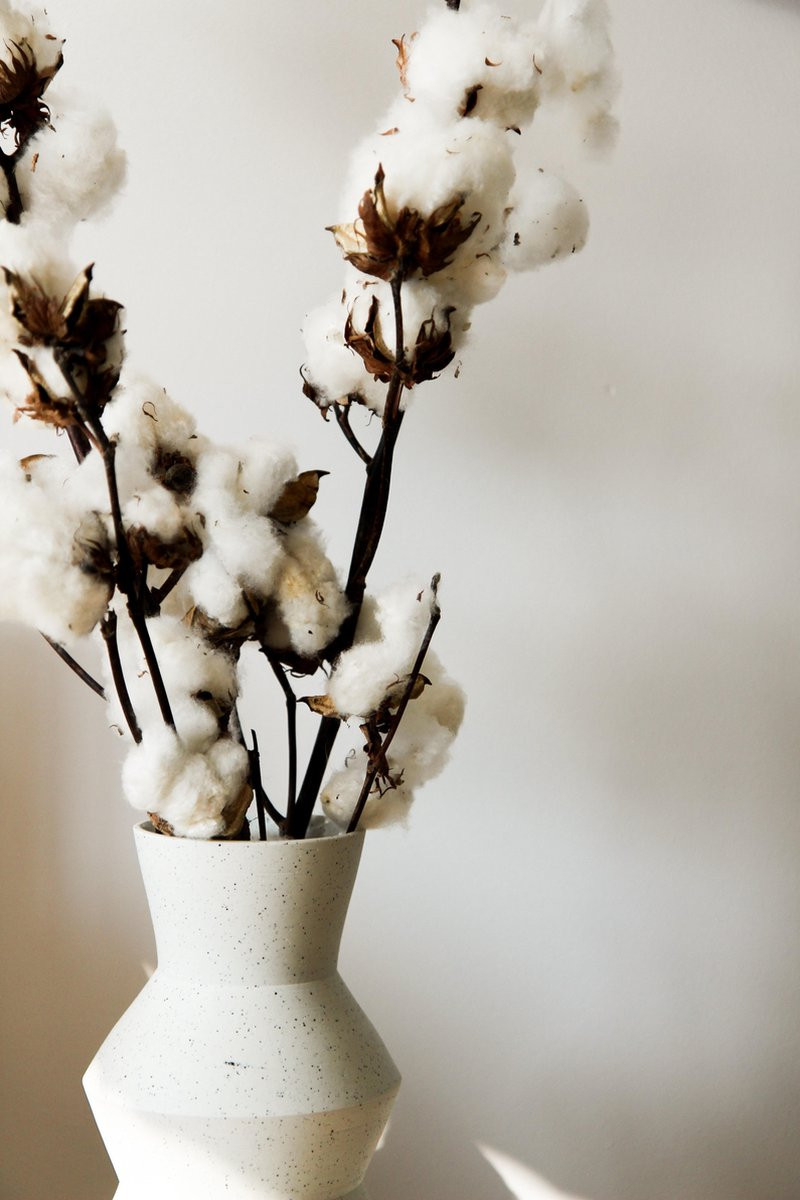 Set van 3 natuurlijke katoentakken voor decoratie