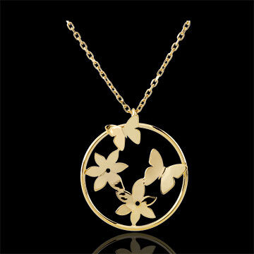 Edenly Collier HÃ¶henflug