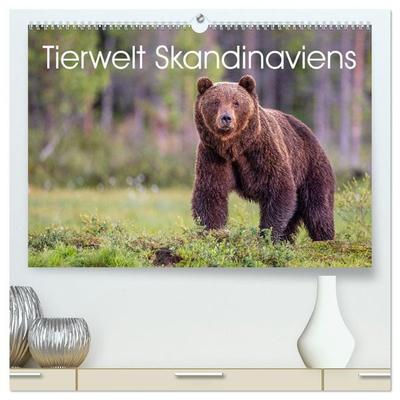 Tierwelt Skandinaviens (hochwertiger Premium Wandkalender 2027 DIN A2 quer), Kunstdruck in Hochglanz