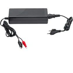 Ladegerät für Vliesbatterie