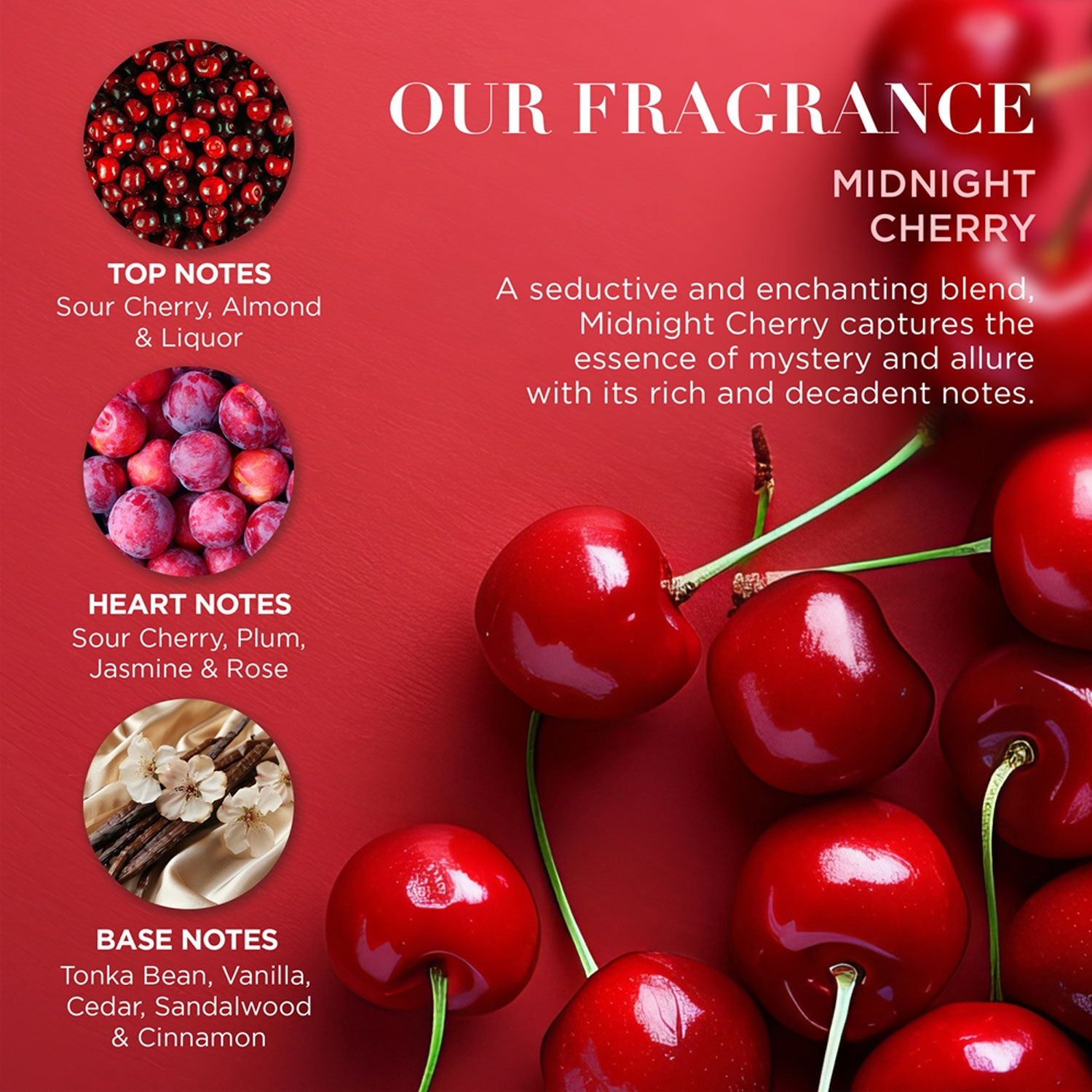 BAYLIS & HARDING Midnight Cherry Luxury Wash Bag Gift Set