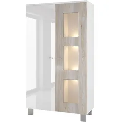 VITRINE Denjo Tür in Eiche Nordic