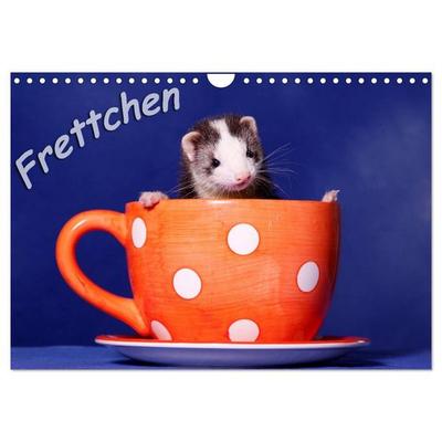 Frettchen - Ferrets (Wandkalender 2026 DIN A4 quer), CALVENDO Monatskalender