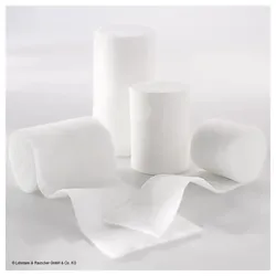 Elafix Binden Raucolast 12 cm o. Zellglas