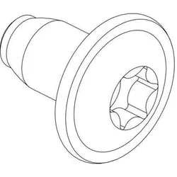 Cubic Skrue, gevindformende, torx, flansch, pakke med 500 stk. (Gehäuse), Elektronikzubehör + Gehäuse
