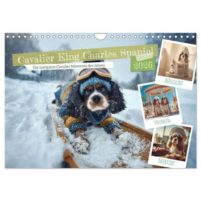 Cavalier King Charles Spaniel. Die lustigsten Cavalier Momente des Jahres. (Wandkalender 2026 DIN A4 quer), CALVENDO Monatskalender