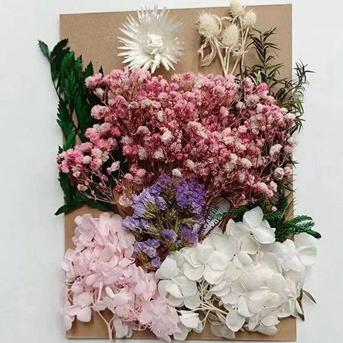 Markenlos Gemengde Natuurlijke Gedroogde Bloemen voor Epoxyhars en DIY Sieraden Decoratie, Multicolour