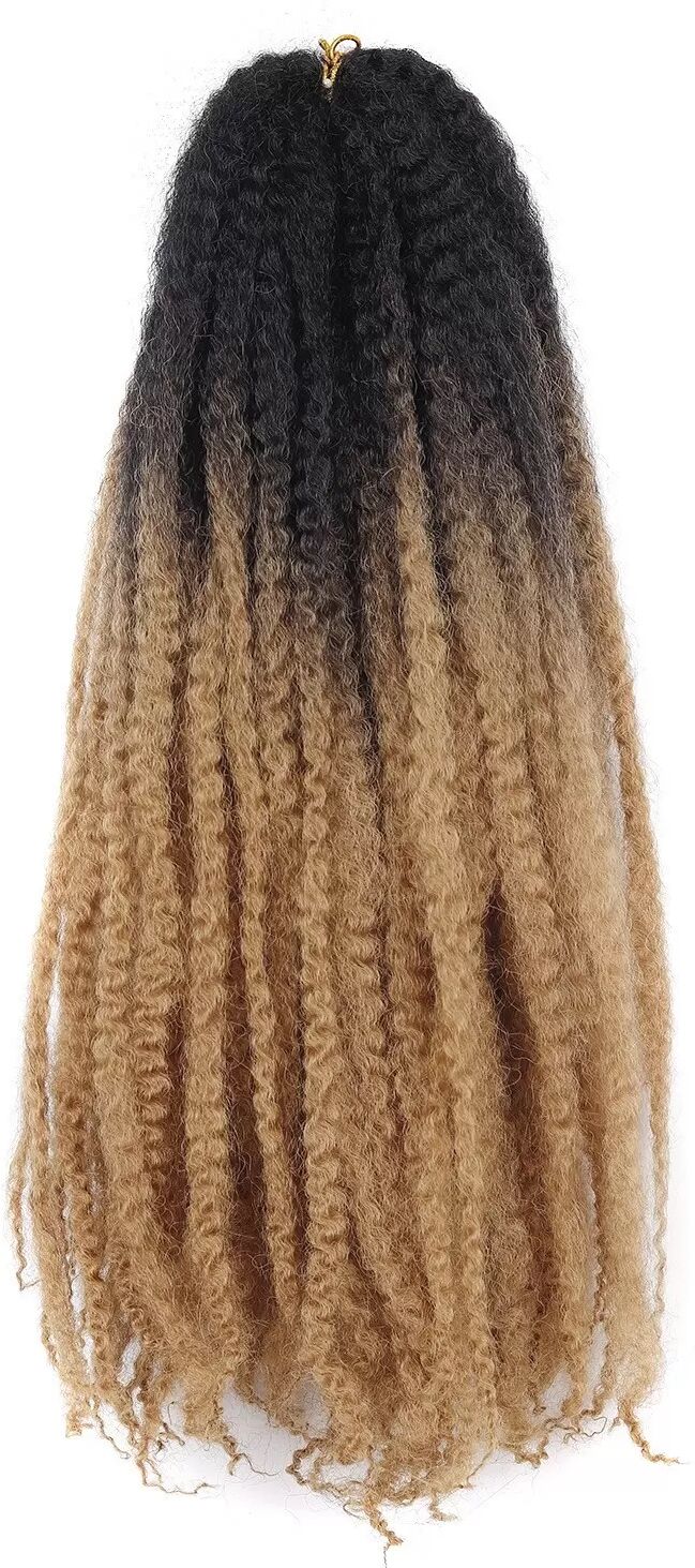 INF Perruque Ombrée Caterpillar Dreadlock - Extensions de Cheveux Afro Crépus Bouclés au Crochet