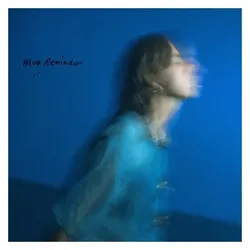 Fat Possum Records, Schallplatten, Blue Reminder (Hand Habits)