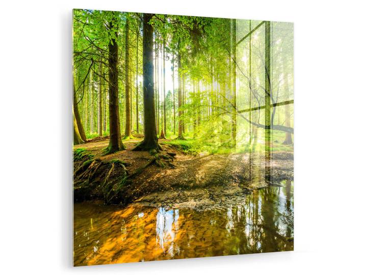 MuchoWow Acrylglasbild Wald - Landschaft - Wasser - Bäume - Sonne - Grün - Natur 50x50 cm, Glas, Quadratisch, 50x50 cm, Bilder & Rahmen, Bilder, Acrylglasbilder