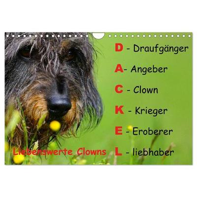 Liebenswerte Clowns (Wandkalender 2027 DIN A4 quer), CALVENDO Monatskalender