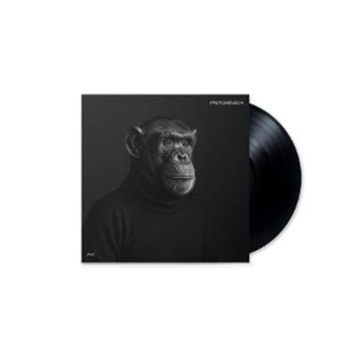 Protomensch (Ltd. Hand-Numbered LP Gatefold) - Felsmann Tiley, Vinyl
