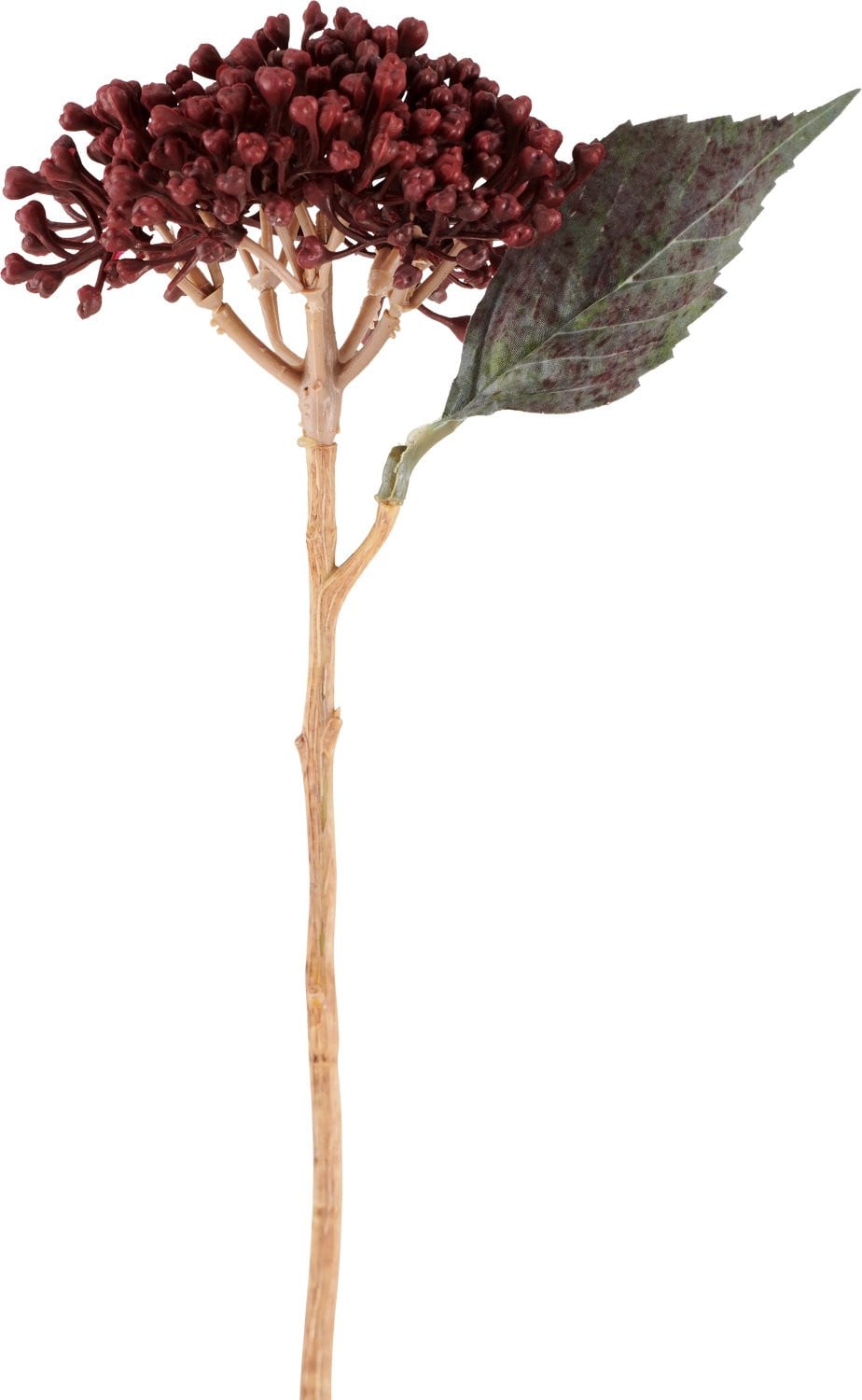Easyplants Kunstbloem Gedroogde Hortensia Bordeaux, 38 cm