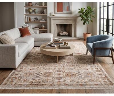 Amer Rugs Albany Vintage Power-Loom Ivory Area/Runner Rug