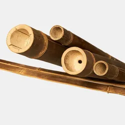 BambusBASIS Bambusrohr Hell (Apus) 1000 mm 8-10 cm