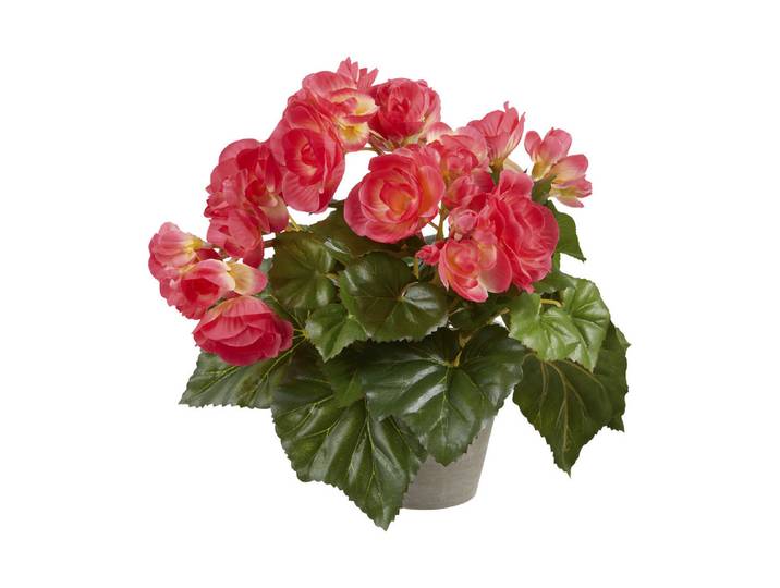 Mica Künstliche Begonie D Rosa im Topf Grau 20 × 25 cm'