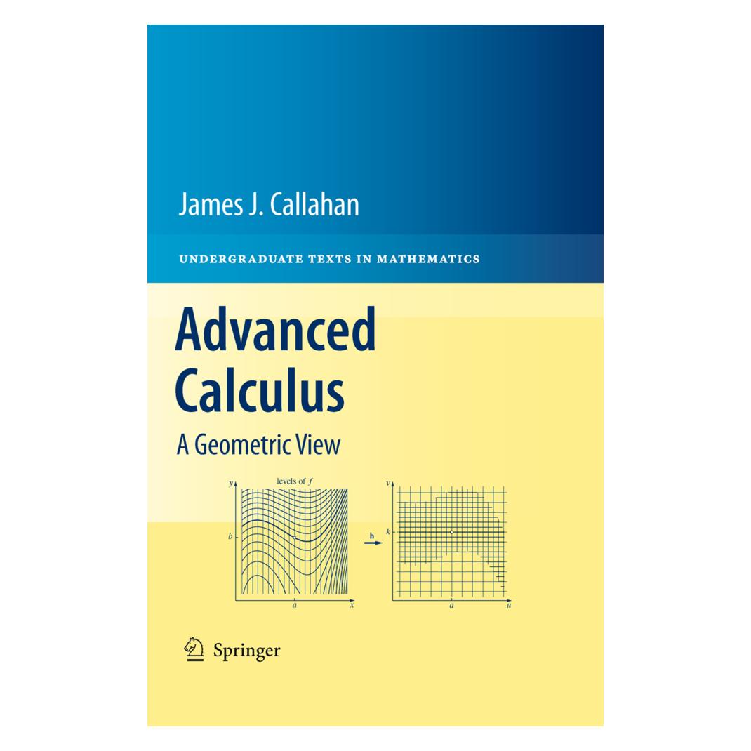 Springer Advanced Calculus (Englisch, James J. Callahan) (55951285)