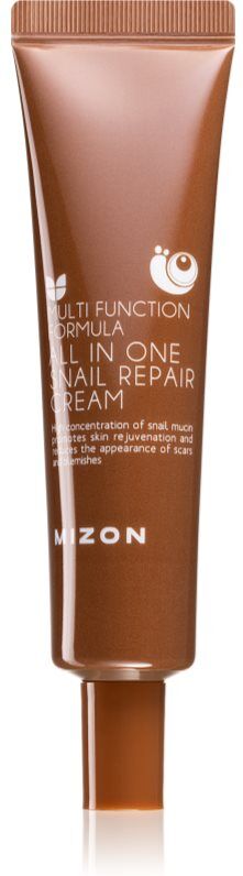 Mizon Multi Function Formula Snail crème régénérante à la bave d'escargot filtrée 92% 35 ml